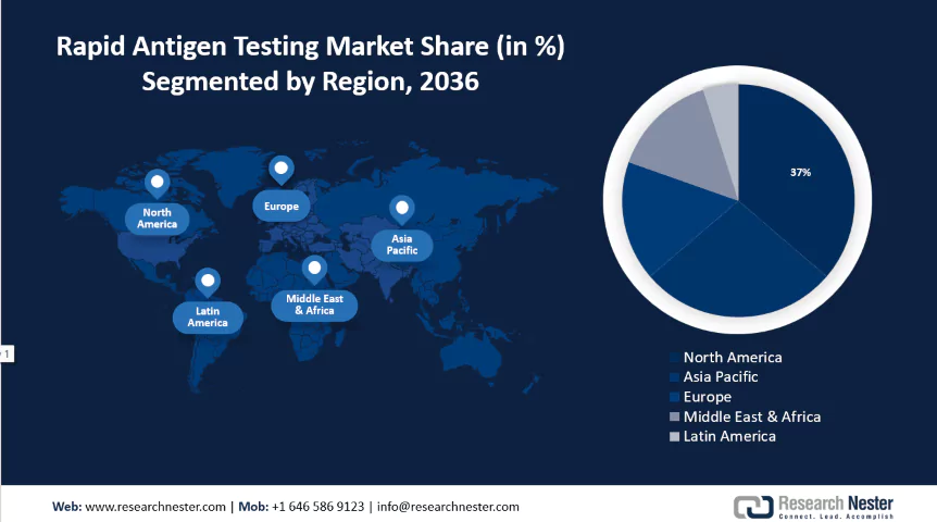 Rapid Antigen Testing Market size